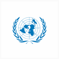 疯狂标志 联合国