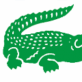 icomania:An alligator.